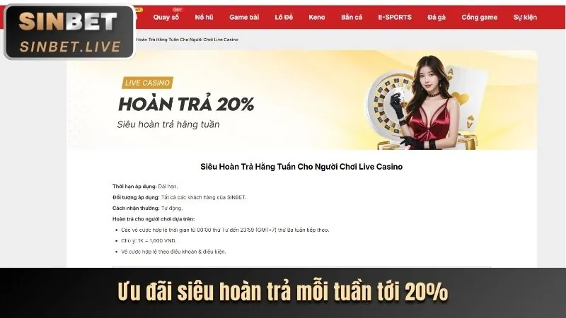 Các chương trình khuyến mãi và ưu đãi độc quyền của cat368 win